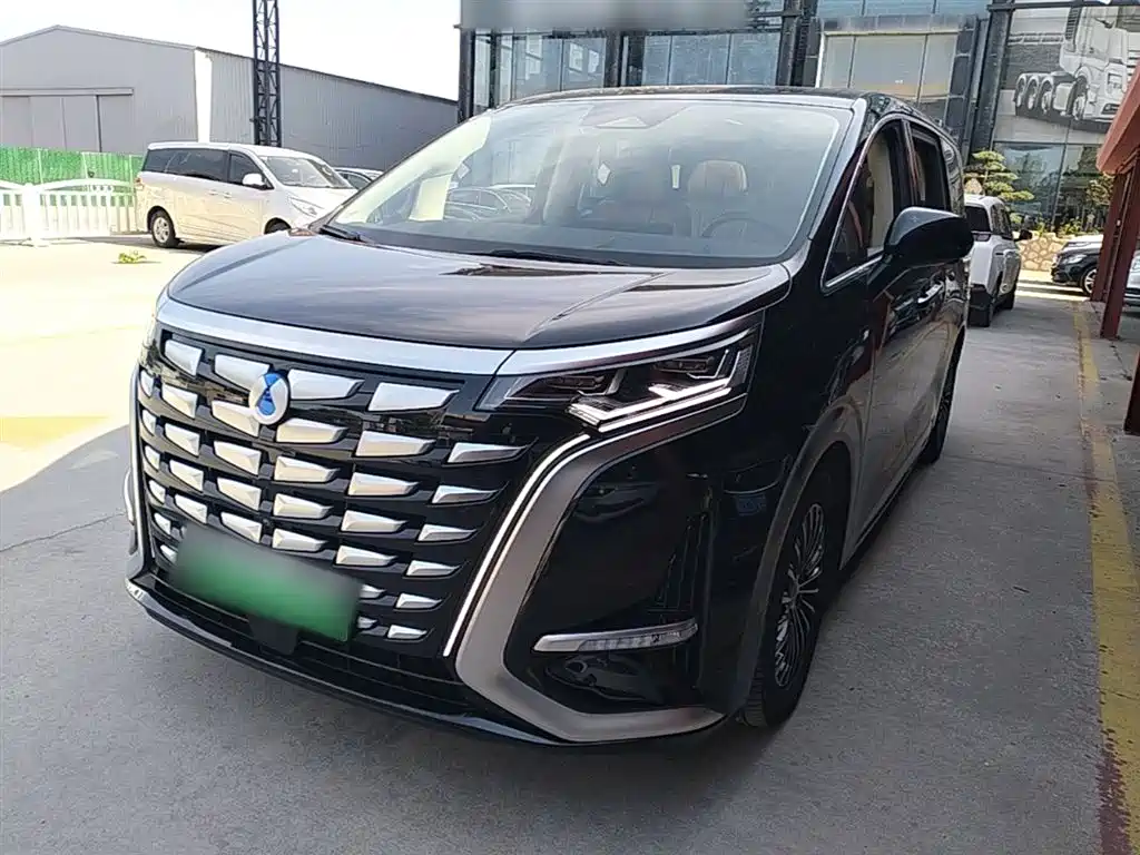 Denza D9 2024 DM-i 980 AWD Flagship