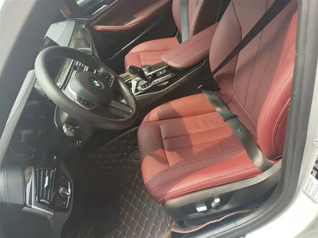 BMW 5 Series 2020 530Li Leading M Sport Package фото 15