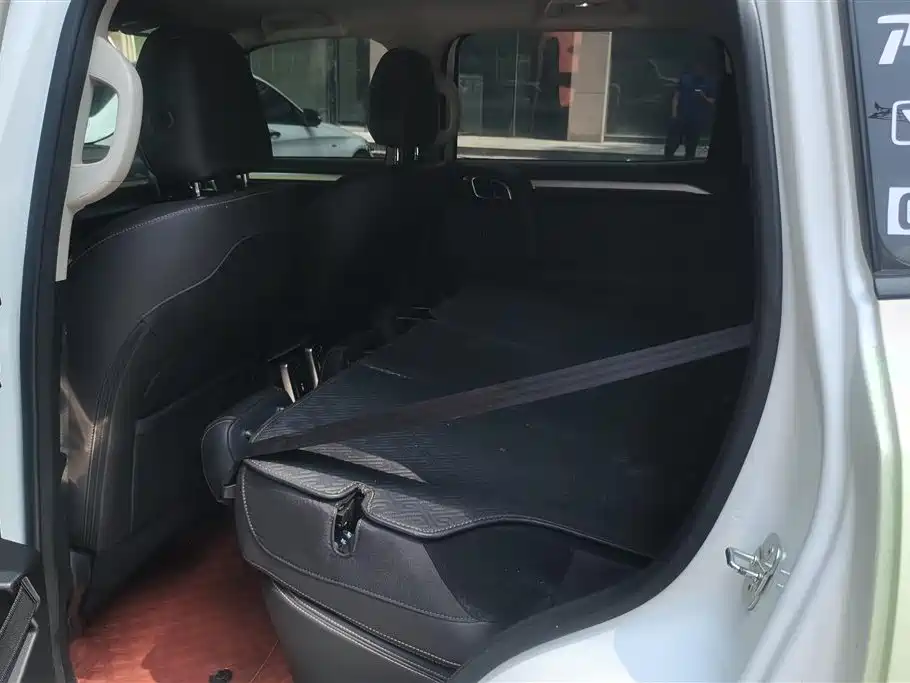Haval Big Dog 2021 2.0T DCT AWD Howling Celestial Dog Edition фото 11