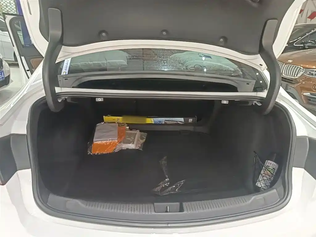 Buick Regal 2017 20T Elite Type фото 19