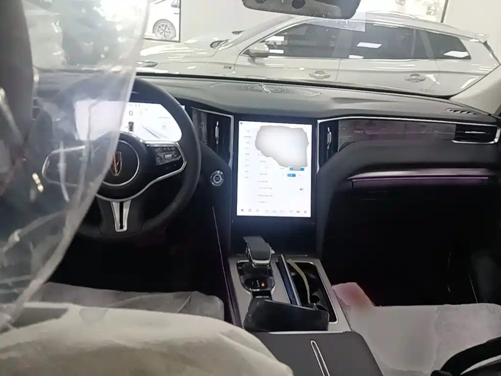 Photo 10 - Hongqi HS7 PHEV