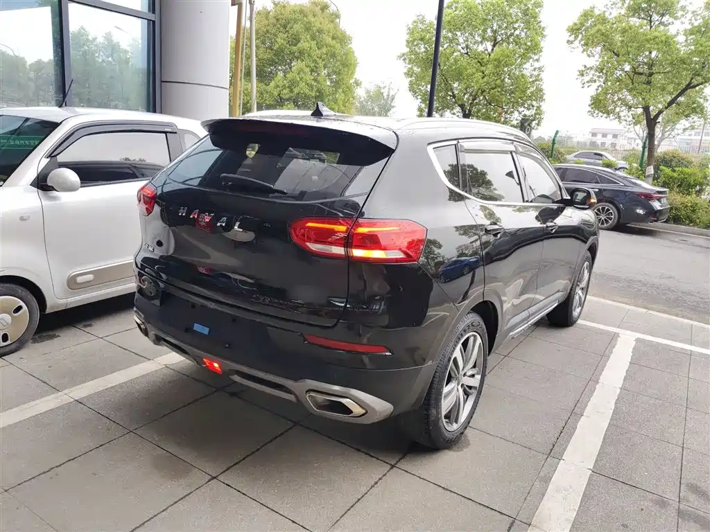 Haval H6 2019 1.5GDIT Auto Luxury Smart Edition China VI фото 5
