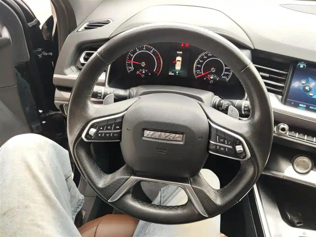 Haval H6 2019 1.5GDIT Auto Luxury Smart Edition China VI фото 7