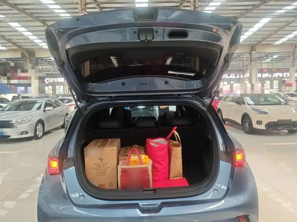 BYD Dolphin 2024 Glory Edition 420km Fashion Edition фото 19