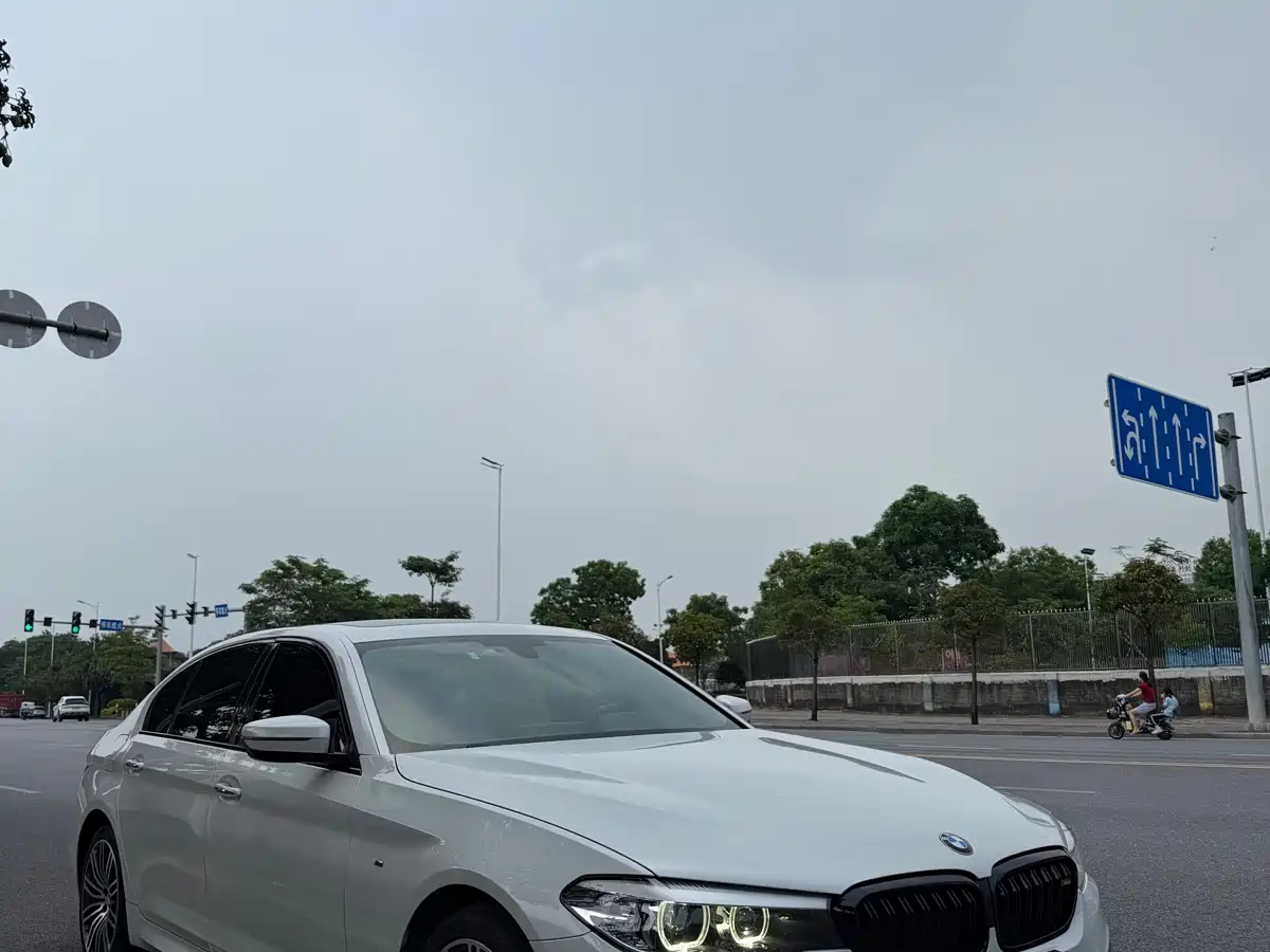 BMW 5 Series 2019 530Li Leading M Sport Package фото 2