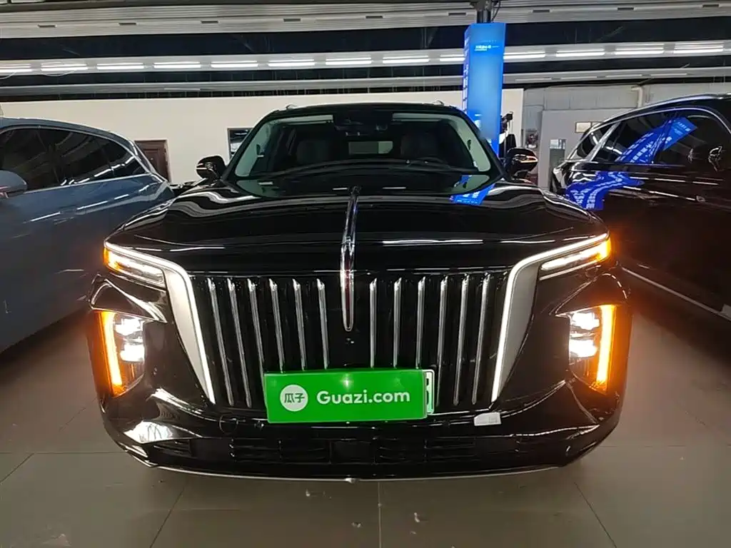 Hongqi E-HS9 2022 660km Qi Chang Edition (6-seater) фото 3
