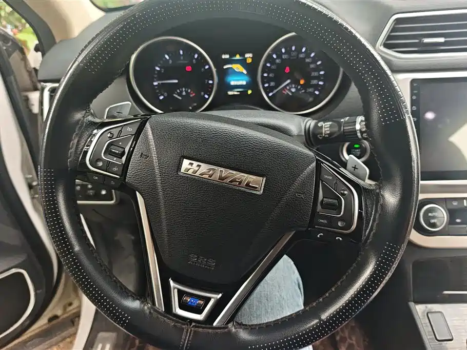 Haval H6 Coupe 2016 Blue Label 1.5T Automatic 2WD Urban фото 15