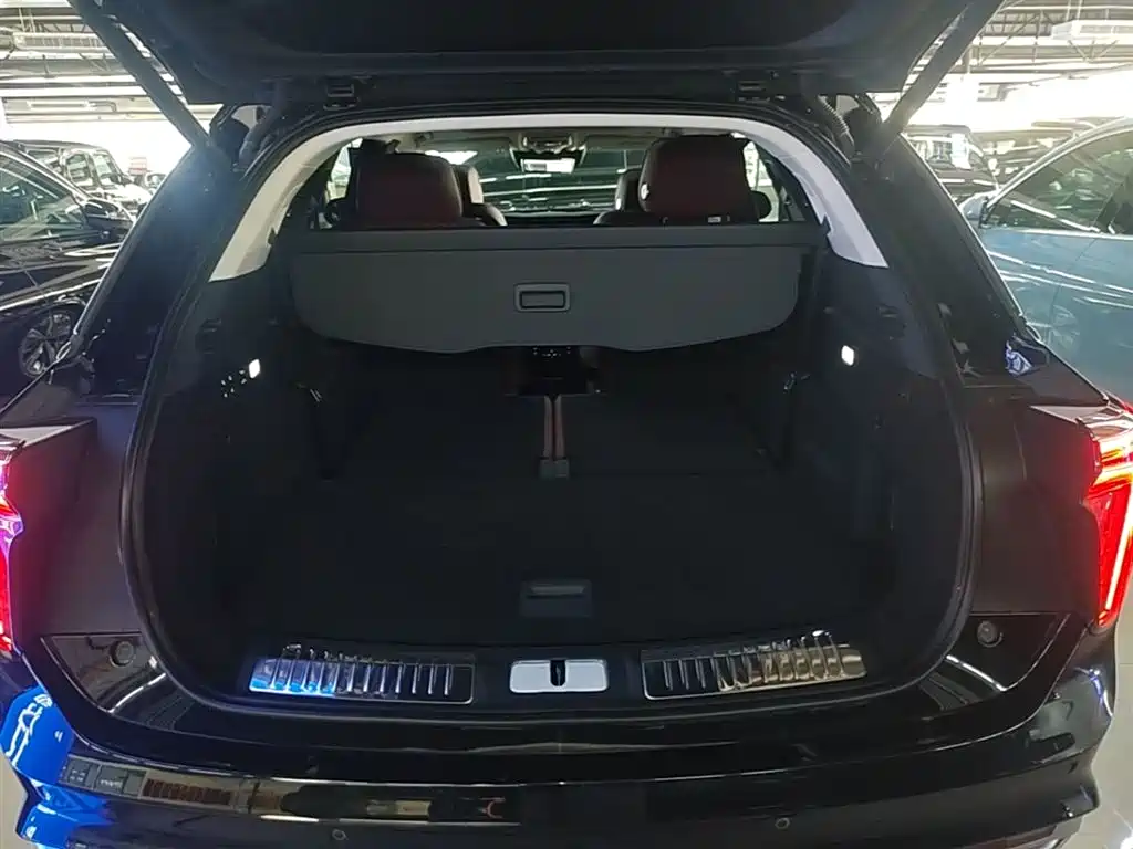 Hongqi E-HS9 2022 660km Qi Chang Edition (6-seater) фото 19