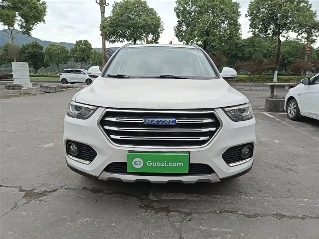 Haval H6 2017 Blue Label Sport 1.5T Auto 2WD Luxury фото 3