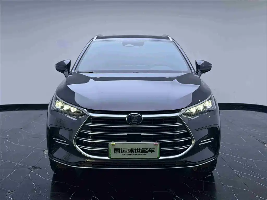 BYD Tang New Energy 2021 DM-i 112KM Honor фото 2