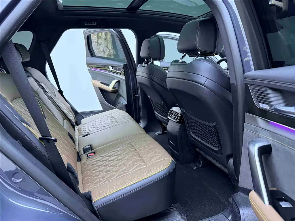 BYD Tang New Energy 2021 DM-i 112KM Honor фото 11
