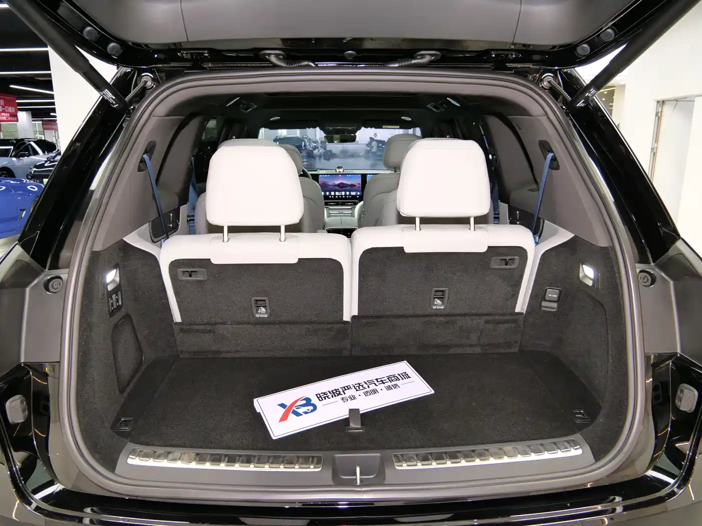 AITO Wenjie AITO M9 2024 Range Extender Max Edition 42kWh 6-seater фото 29
