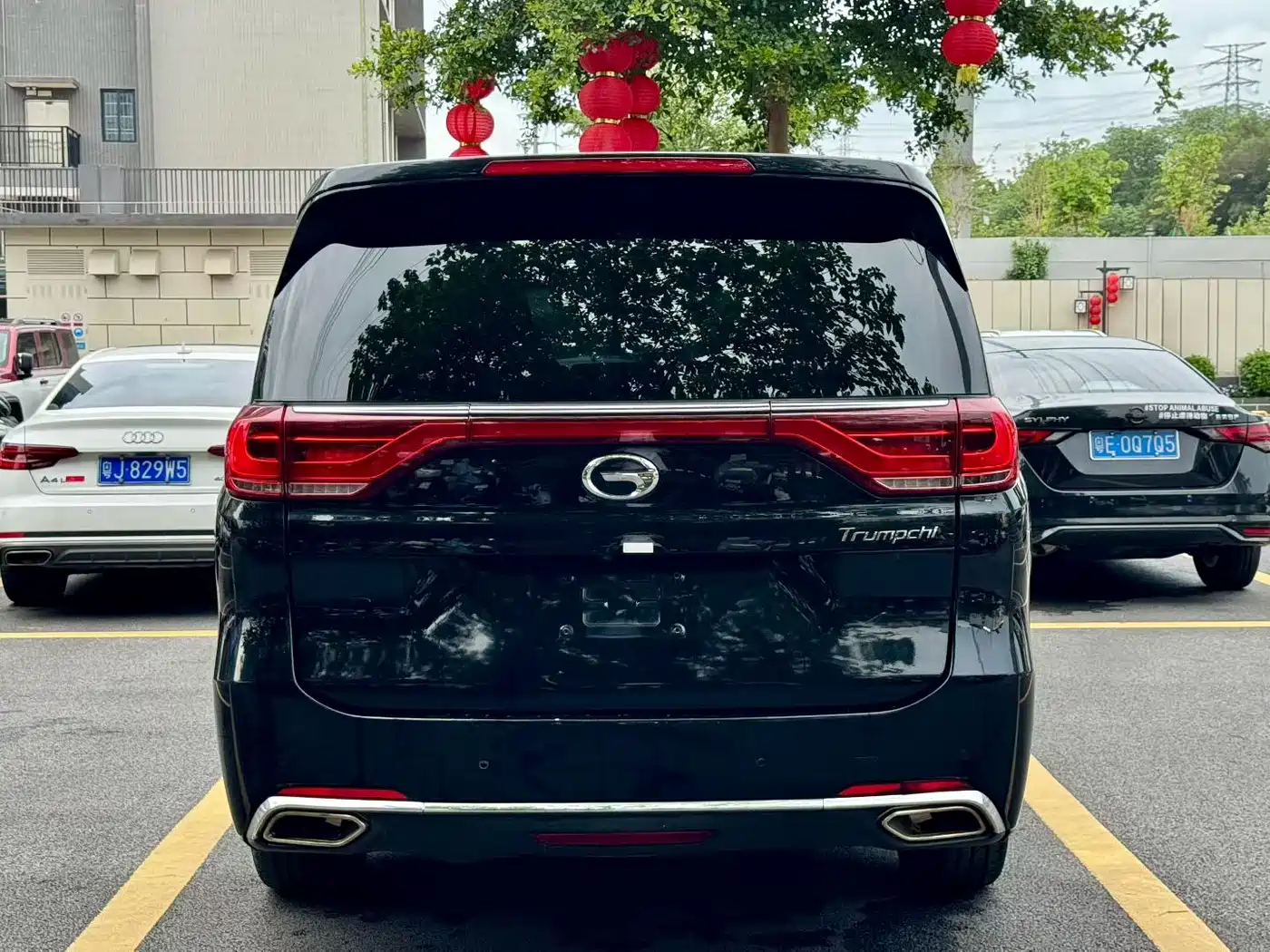 GAC Trumpchi Trumpchi M8 2018 320T Premium Edition фото 9
