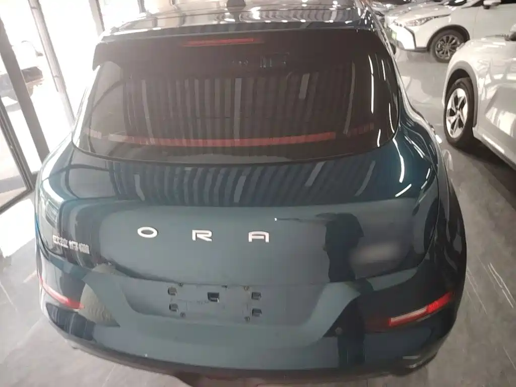 Ora Good Cat 2024 2024 401km Luxury