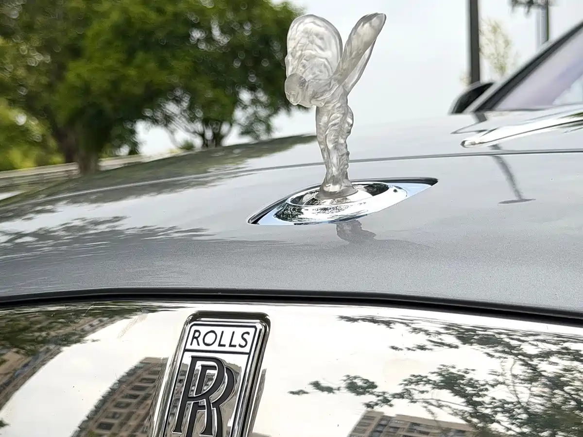 Фото 26 - Rolls-Royce Wraith