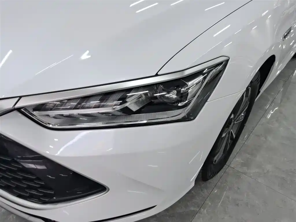 BYD Qin PLUS 2023 Champion Edition DM-i 55KM Leading фото 24