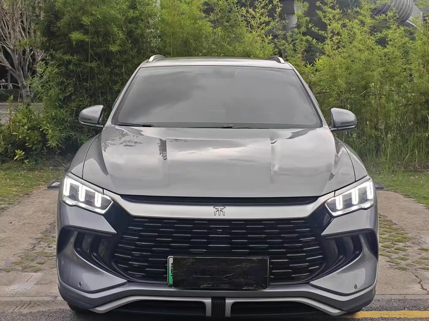 BYD Song Pro New Energy 2024 Glory Edition DM-i 71KM Pilot фото 2