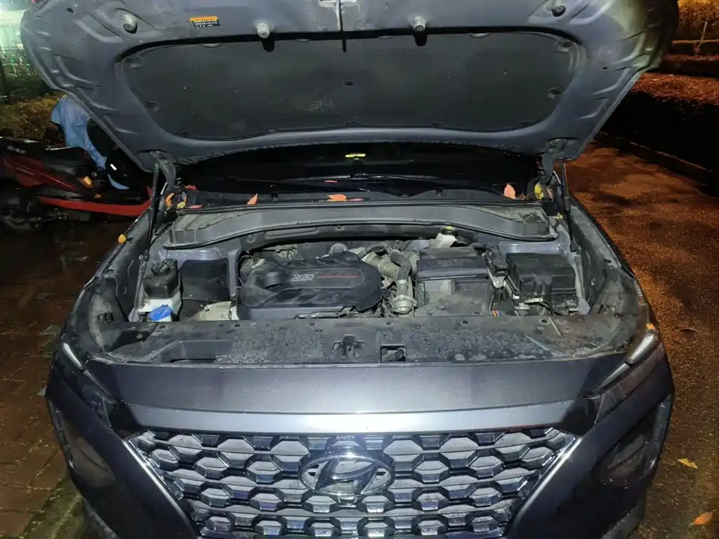 Hyundai Santa Fe 2019 380 TGDi GLS Automatic 2WD Luxury Edition China VI фото 16