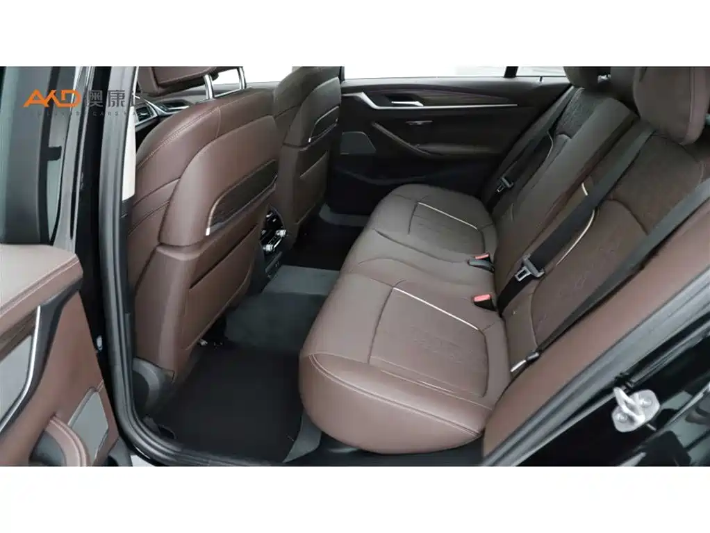 BMW 5 Series 2022 530Li Exclusive Luxury Package фото 7