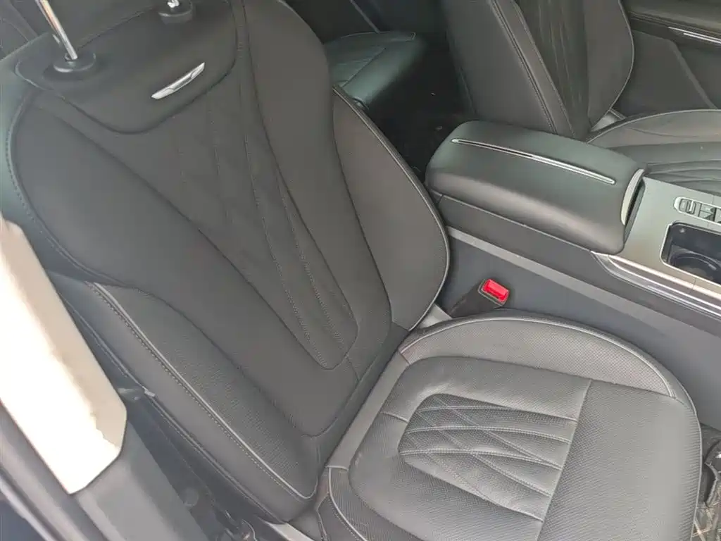 Hongqi HS7 PHEV 2024 2.0T PHEV AWD Qichang Edition 7-seater фото 25