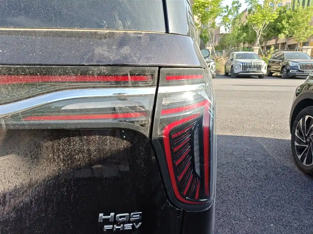 Hongqi HQ9 PHEV 2024 Model 2.0T AWD Business Edition фото 8