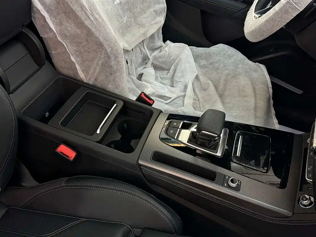 Audi Q5L 2025 45th Anniversary Edition 45 TFSI Luxury Sport фото 20