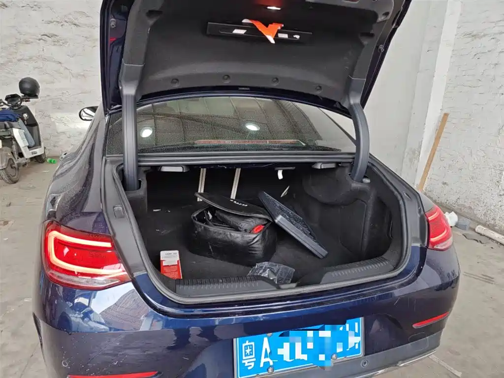 Mercedes-Benz CLS 2020 CLS 300 Luxury фото 10