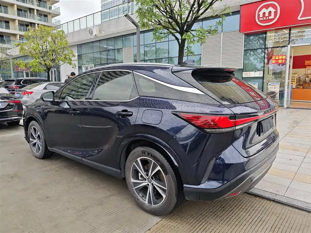 Фото 4 - Lexus RX