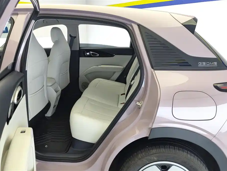 Geely Galaxy Starry Wish 2025 310km Youth Edition фото 11