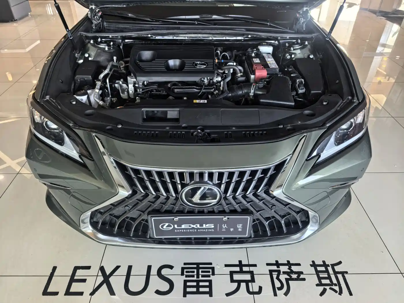 Lexus ES 2023 200 Excellence Edition фото 6