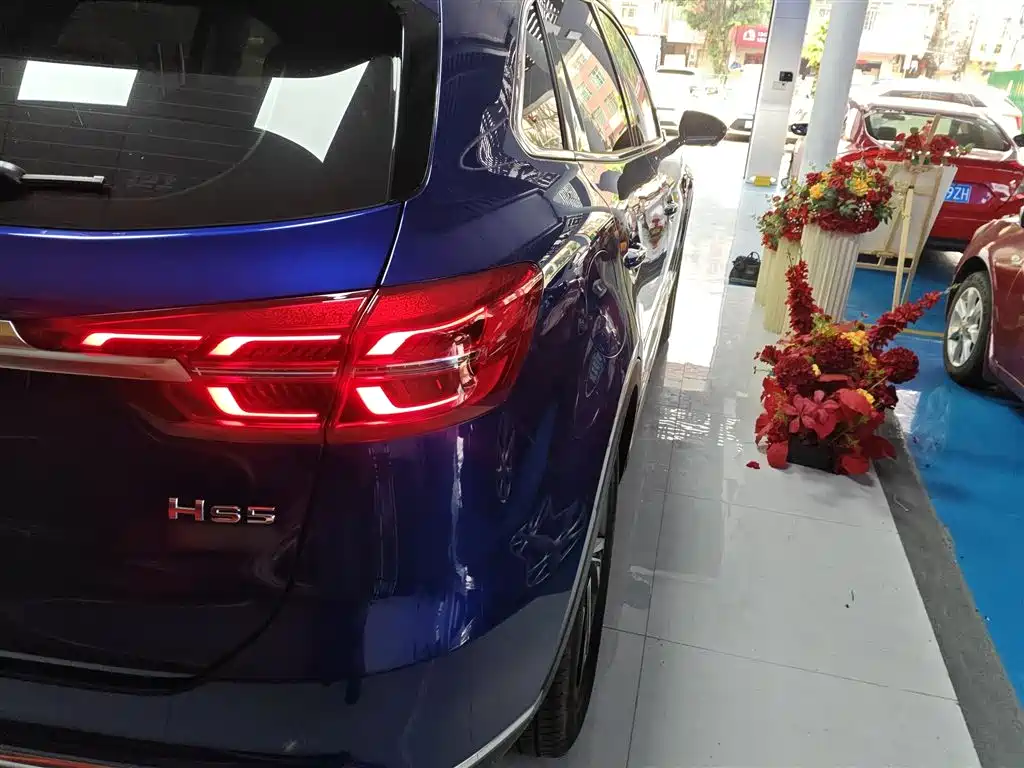 Hongqi HS5 2022 Facelift 2.0T Smart Flag Enjoyment Edition фото 8