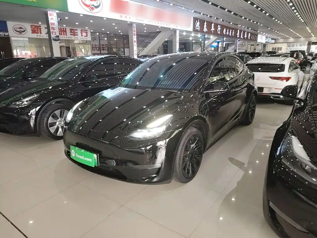 Tesla Model Y 2021