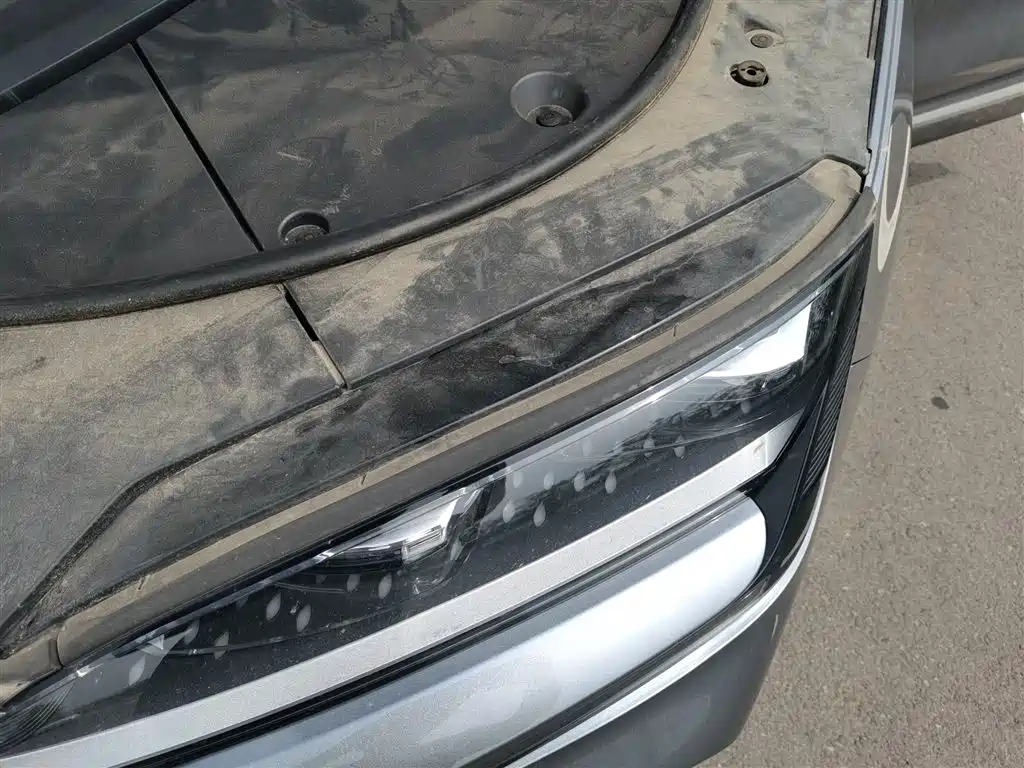 BYD Song PLUS PHEV 2024 Glory Edition DM-i 110km Flagship фото 22