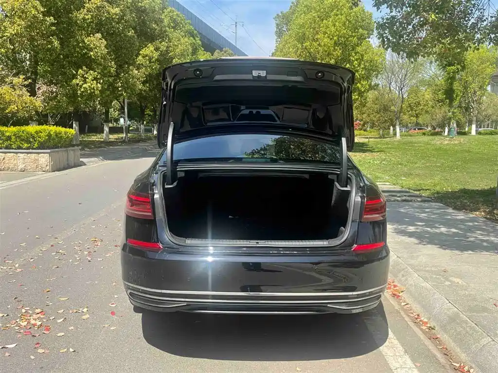 Volkswagen Passat 2022 330TSI Starlight Luxury Edition фото 9