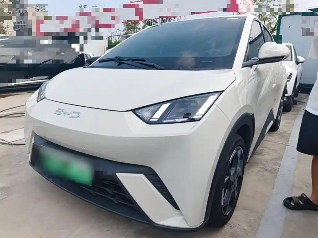 BYD Seagull 2024
