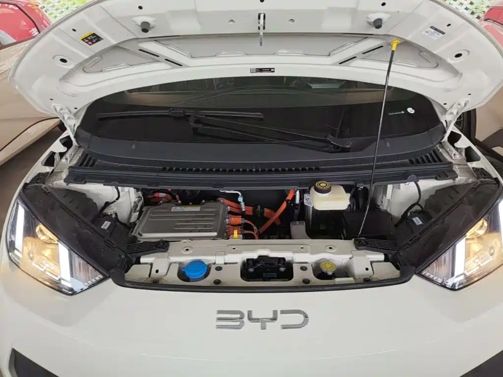 BYD Seagull 2026 2025 Smart Drive Edition 305km Vitality Version
