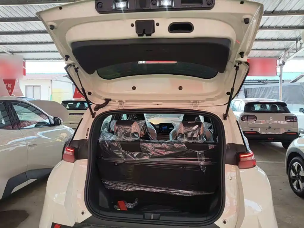 BYD Seagull 2026 2025 Smart Drive Edition 305km Vitality Version