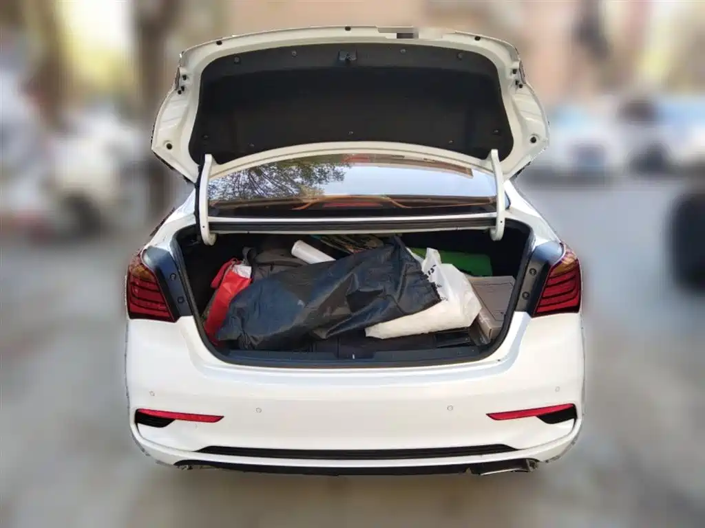 Hyundai Mistra 2017 1.8L Automatic Prestige DLX (China V) фото 10
