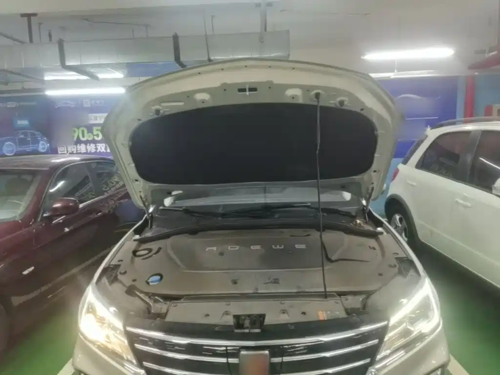 Roewe Ei5 2019 2019 Model Smart Connect Supreme Edition