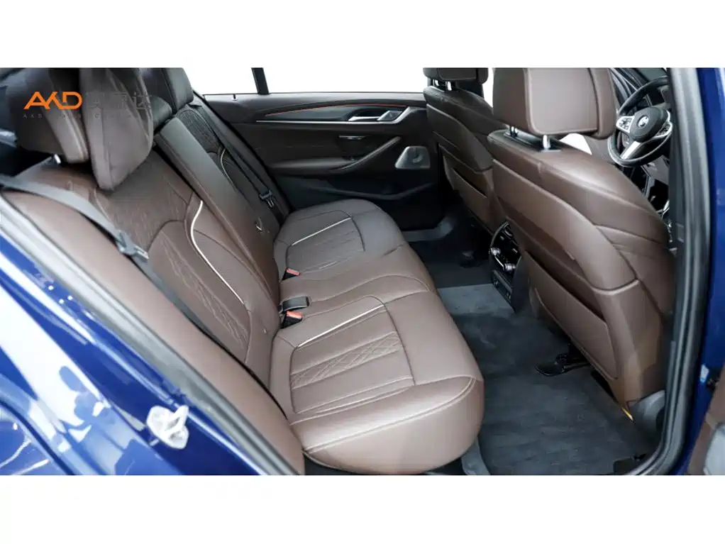 BMW 5 Series 2021 Facelift 530Li Executive M Sport Package фото 8