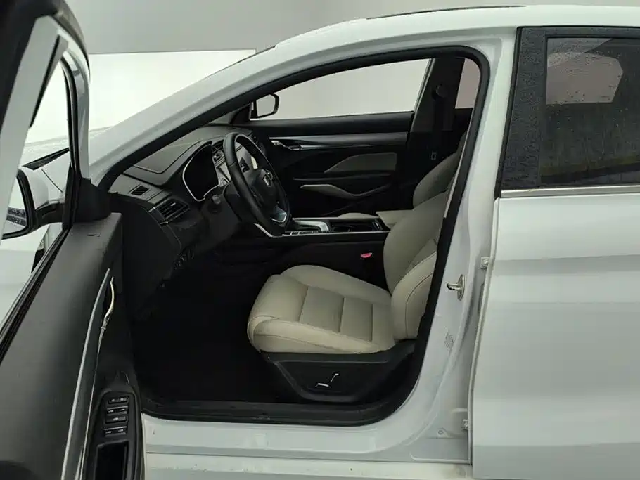Фото 9 - Geely Binrui