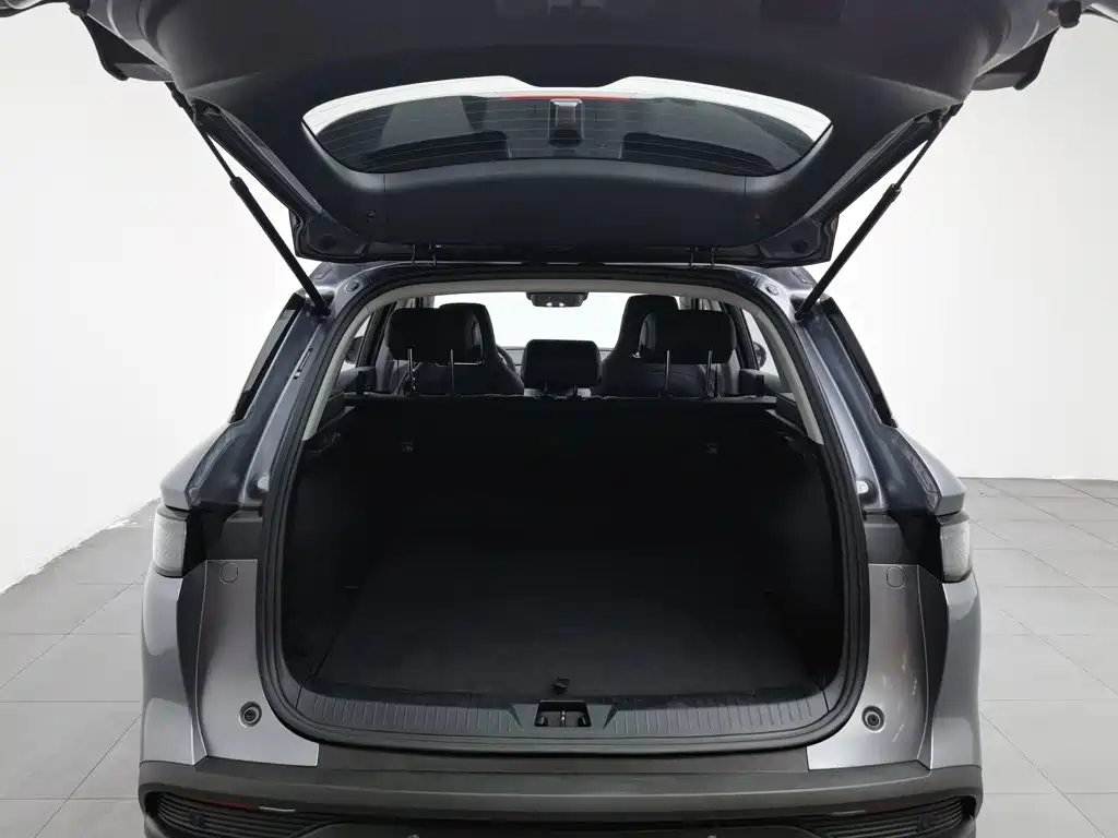 BYD Seal 05 DM-i 2025 2025 DM-i Smart Drive Edition 75KM Luxury