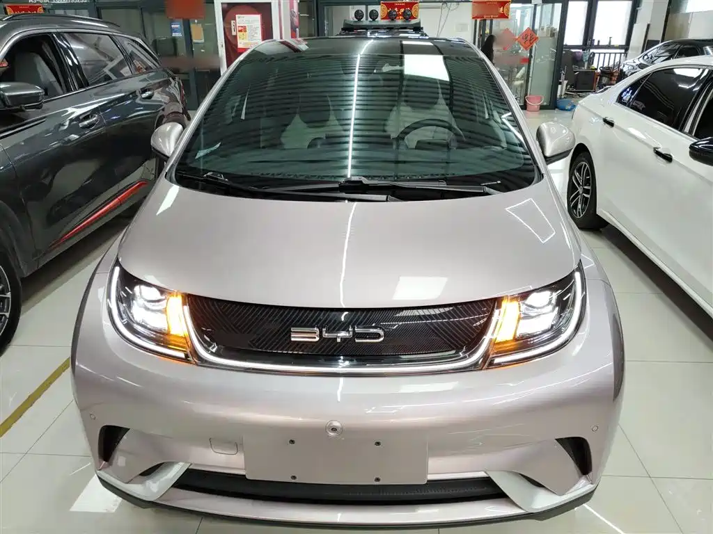 BYD Dolphin 2023 420km Fashion Edition фото 3