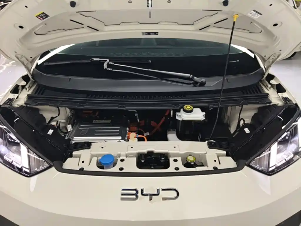 BYD Seagull 2026 2025 Smart Drive Edition 305km Freedom Version