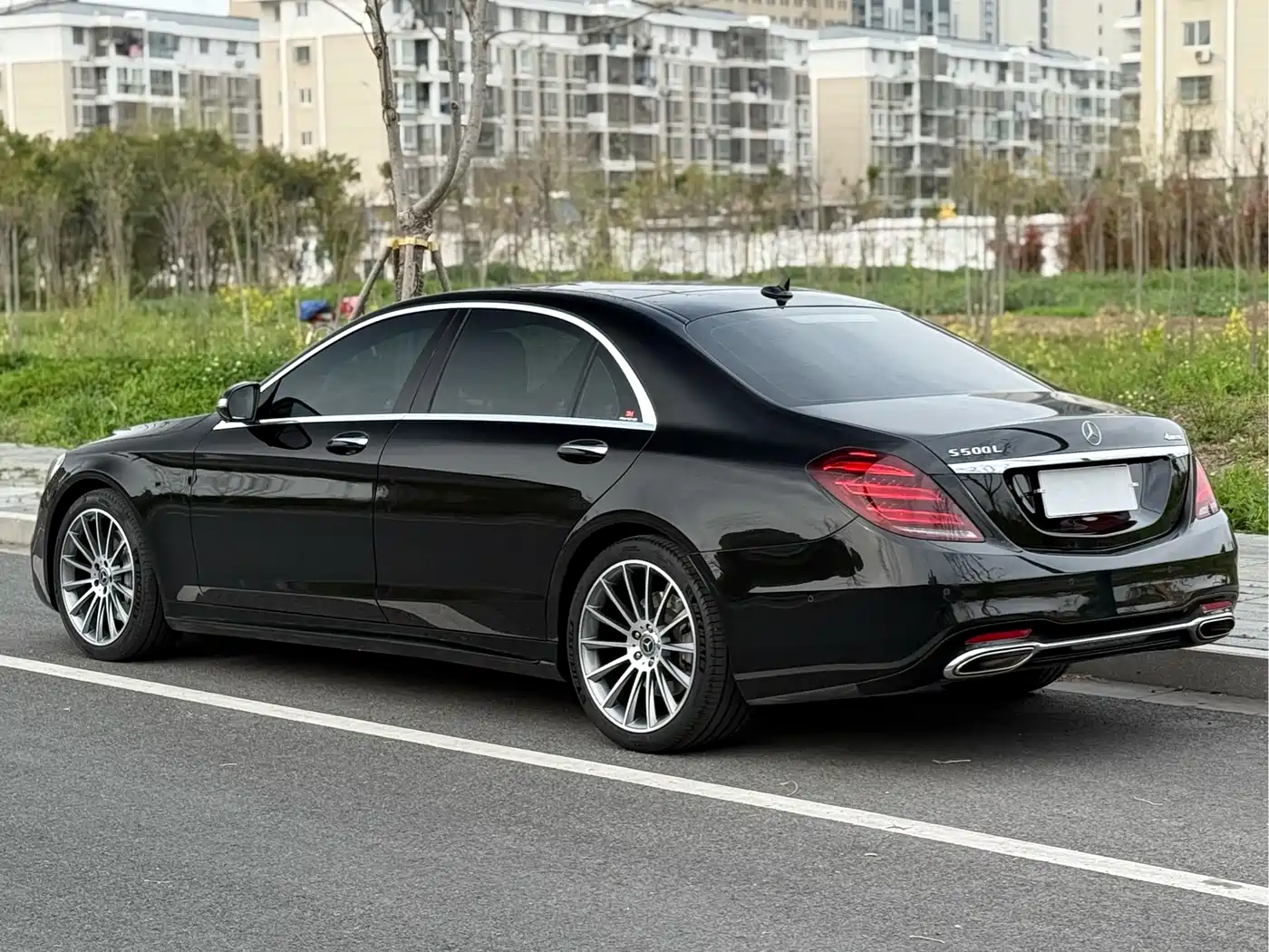 Mercedes-Benz S-Class 2018 S 450 L 4MATIC фото 14