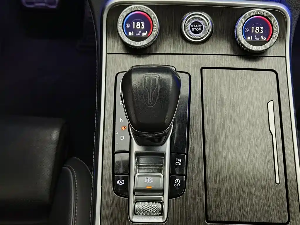 Hongqi H9 2023 Model 2.0T Smart Connect Flagship Edition фото 13