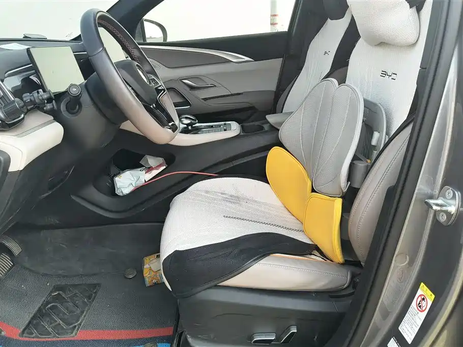 BYD SONGJIANG NEW ENERGY