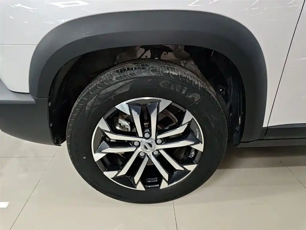 Haval Big Dog 2022 1.5T DCT FWD Border Collie Edition фото 23