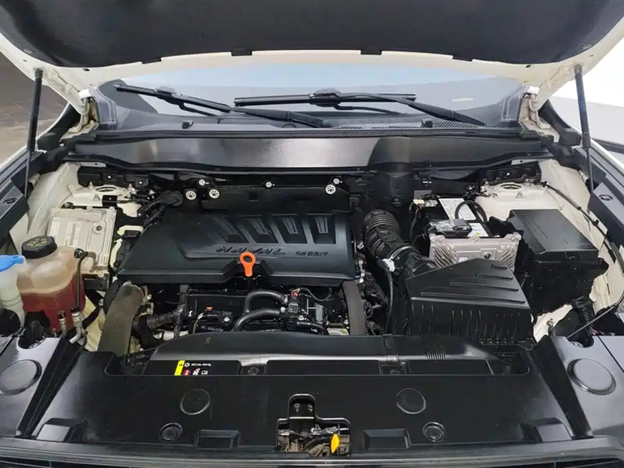 Haval Big Dog 2021 1.5T DCT 2WD Border Collie Edition фото 10