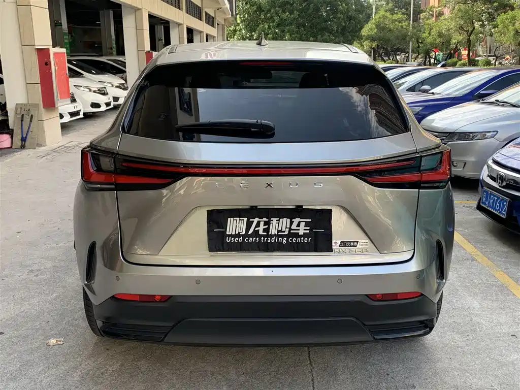 Lexus NX 2024 2023 260 FWD Joy Creation Edition